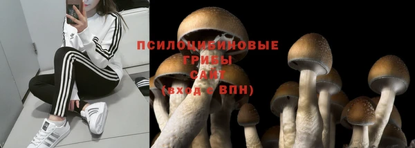 соль ск Арсеньев