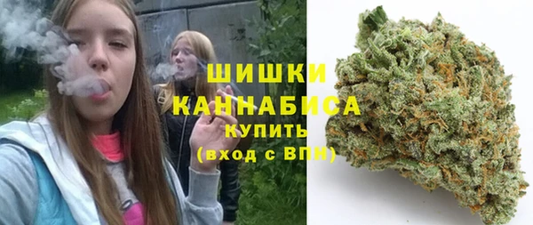 соль ск Арсеньев