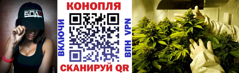Бошки Шишки конопля Лысково